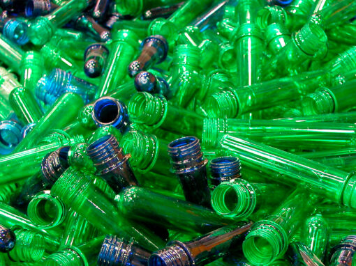 AMCOR – Tierra del Fuego