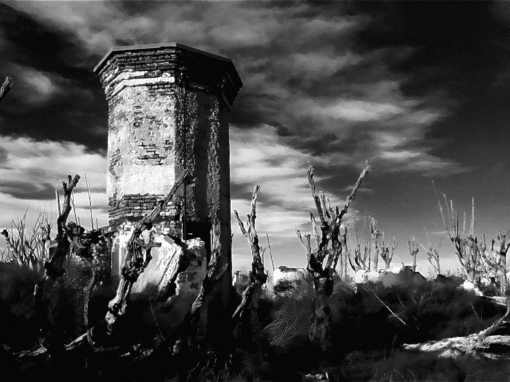 Pasado olvidado – Epecuén