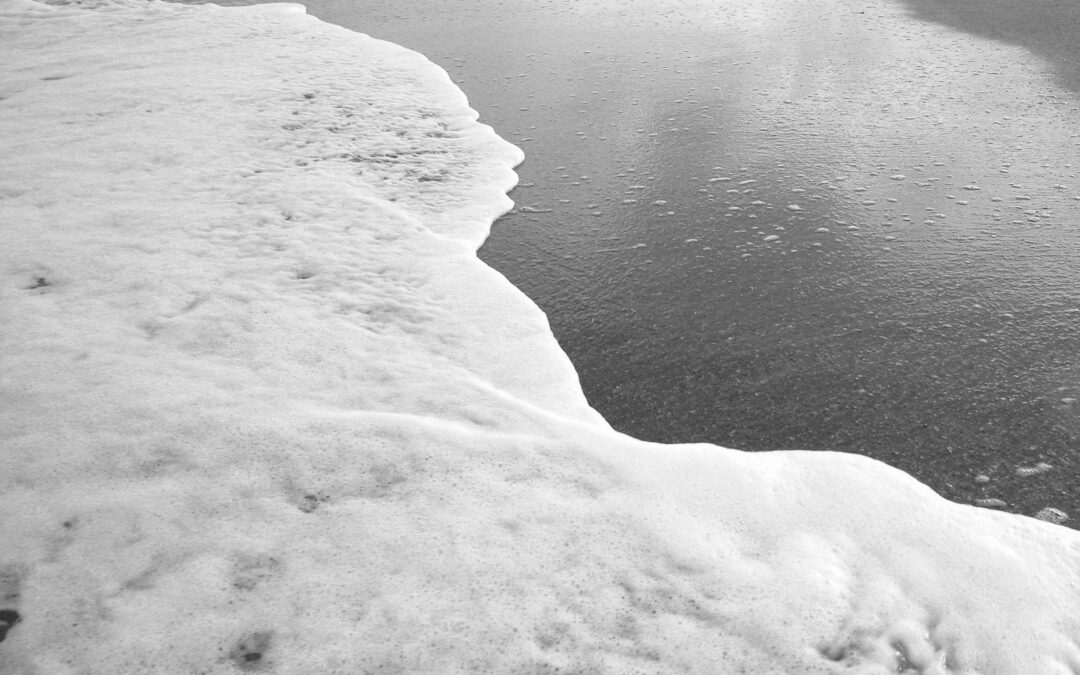 Espuma de mar