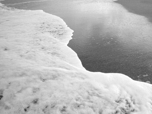 Espuma de mar