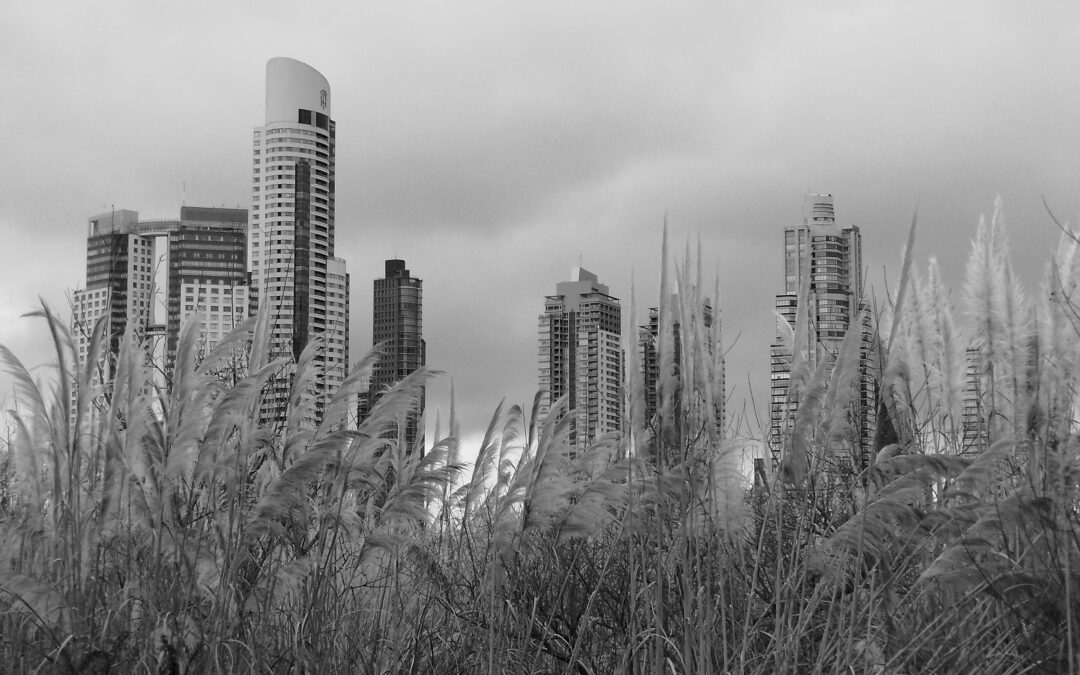 Contrastes – Reserva ecologica Buenos Aires