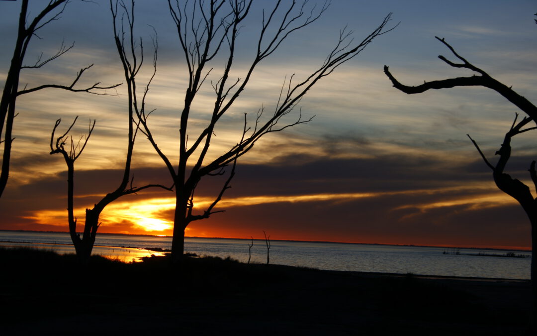 Frío atardecer – Lago Epecuén