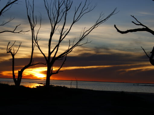 Frío atardecer – Lago Epecuén