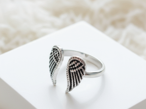 Anillo Alas